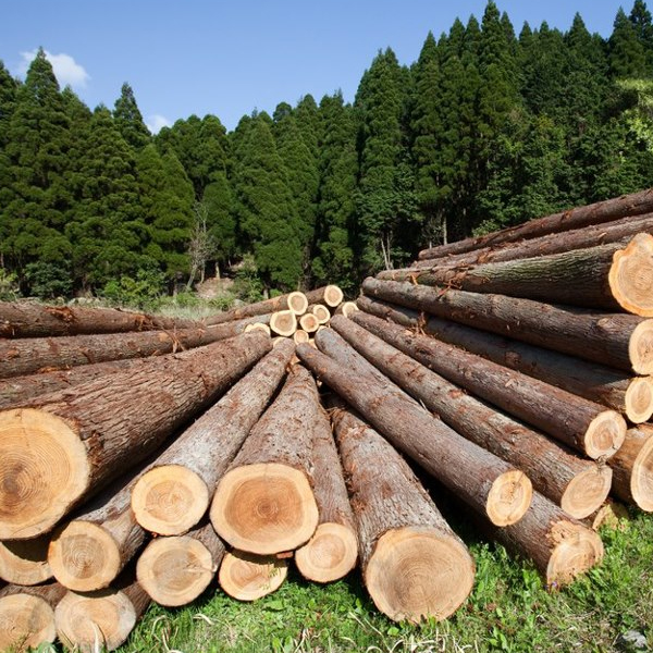  <span class="lte-header lte-h6"> High-Quality Materials </span> 